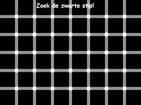 Test 101 Zoek de zwarte stip.jpg