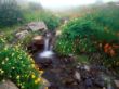Waterval 010.jpg