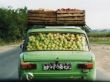 Auto met appels.jpg