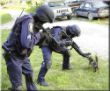 Politie Kat dangerous.jpg